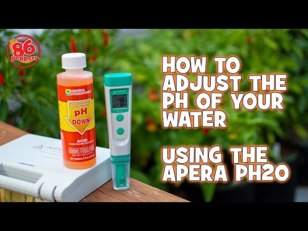 Backdate 1 How To Adjust The PH Of Your Water For Hot Pepper Plants (or Hot Sauce)  Using The Apera PH