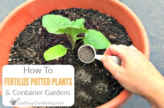 Boost Your Garden: Easy Ways To Add Fertilizer To Soil After Planting