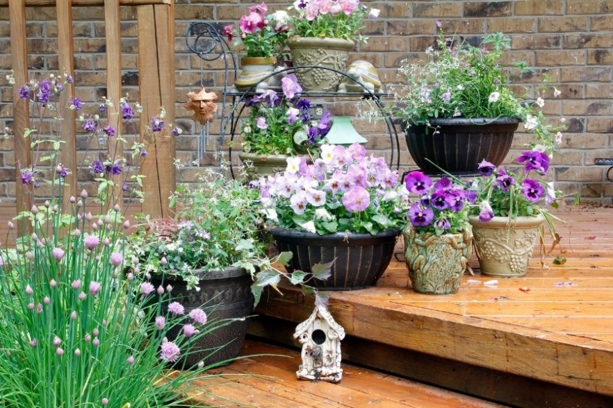 Backdate 2 Outdoor Planter Arrangement Ideas:  Ways To Impress With Your