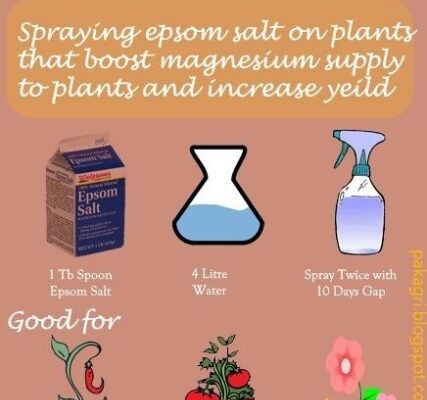 Boost Your Plants: The Ultimate Guide To Using Epsom Salt For Healthier Growth!