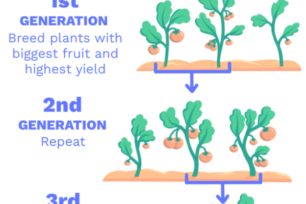 Grow Your Green Thumb: Easy Steps To Breed Your Favorite Plant At Home