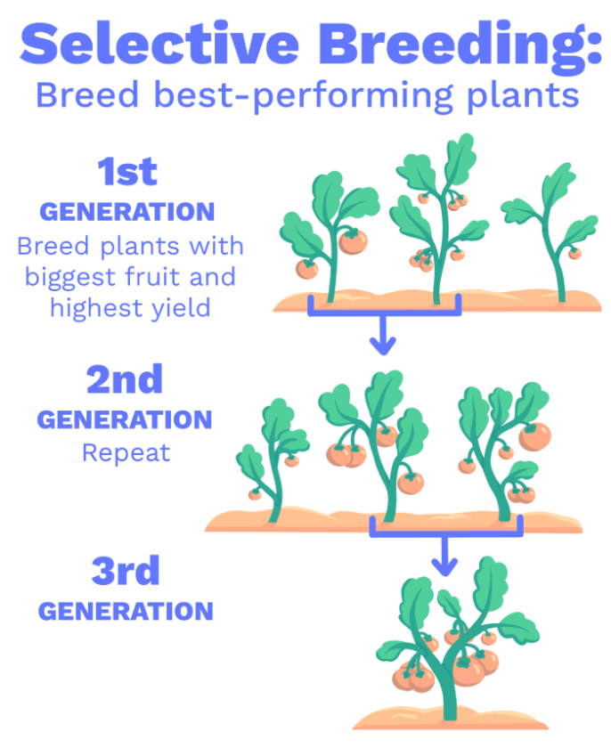 Grow Your Green Thumb: Easy Steps To Breed Your Favorite Plant At Home