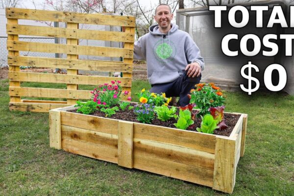 Easy DIY Guide: Build Your Own Raised Garden Beds For A Lush And Bountiful Harvest!