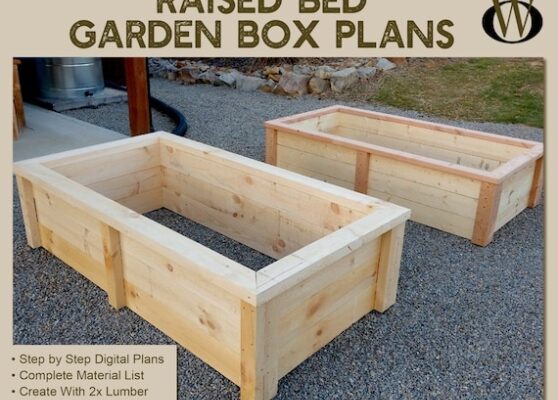 DIY Guide: Easy Steps To Build Your Own Planter Boxes For A Green Thumb!