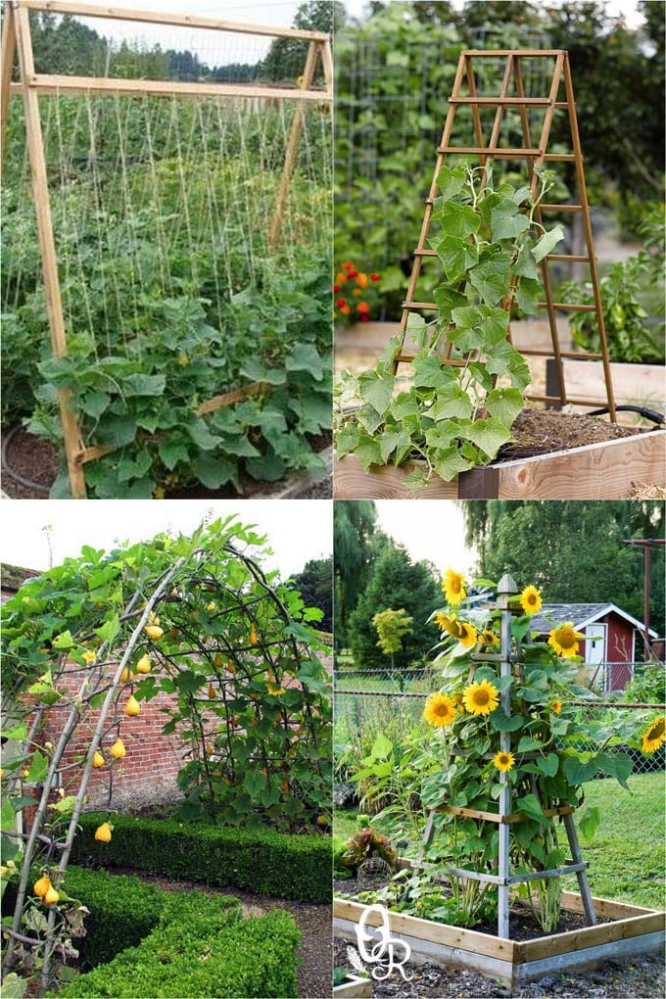 Grow Up! Easy DIY Trellis Ideas For Your Climbing Plants