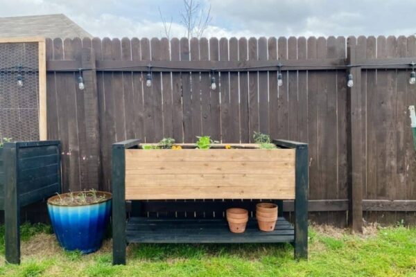 Easy DIY Guide: Building A Raised Garden Bed For Your Plants