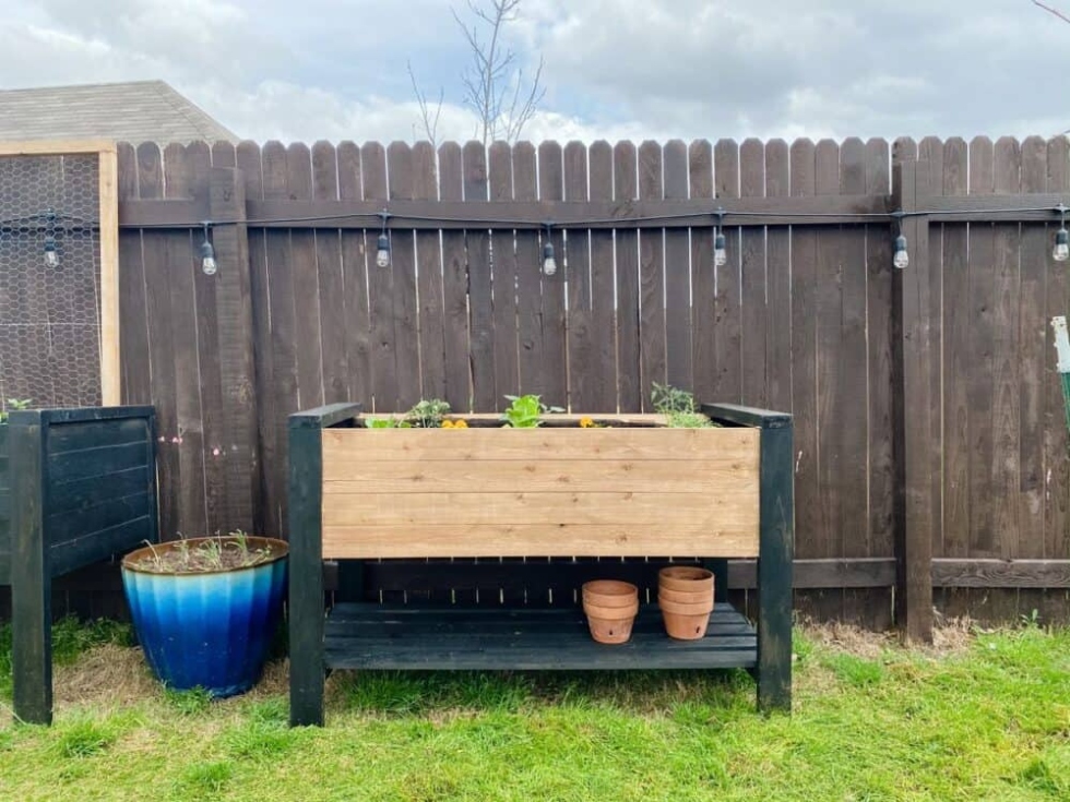 Easy DIY Guide: Building A Raised Garden Bed For Your Plants