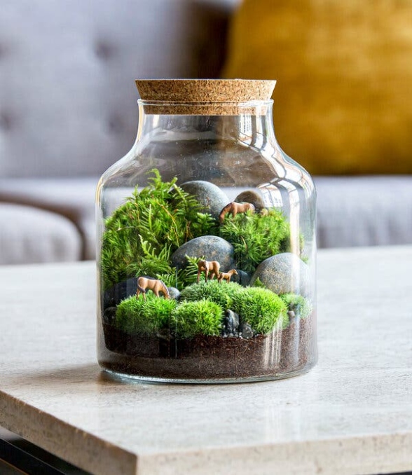 How To Build A Terrarium, So It's Always Gardening Season - The