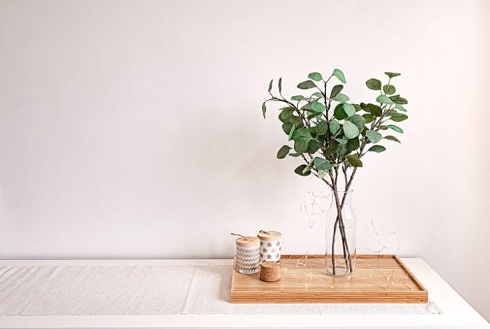 How To Grow Eucalyptus In Your Home Or Garden