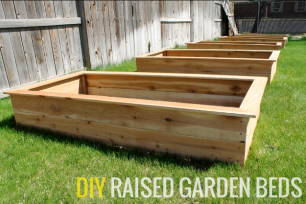 Easy Peasy Raised Plant Beds: A DIY Guide For A Greener Garden