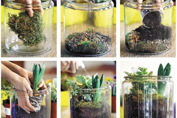 Get Your Hands Dirty: Easy Steps To Create A Stunning Plant Terrarium