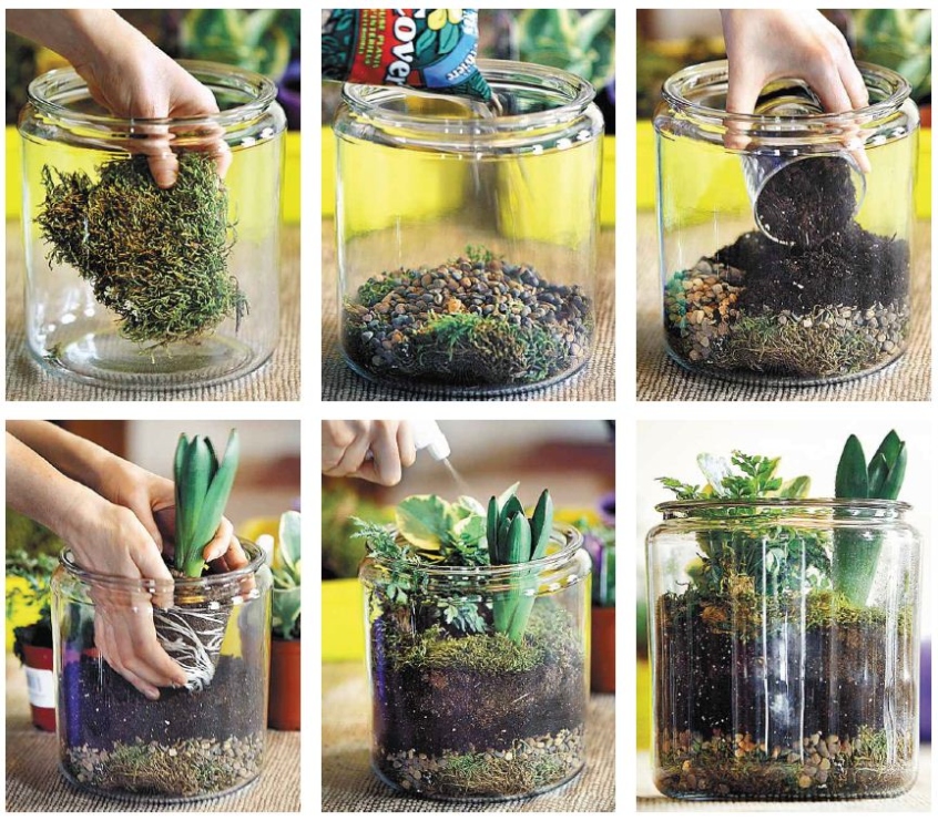 Get Your Hands Dirty: Easy Steps To Create A Stunning Plant Terrarium